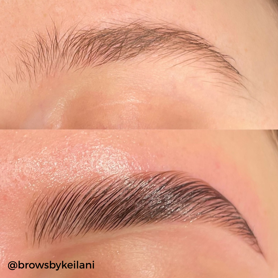 Complete Brow Waxing Kit